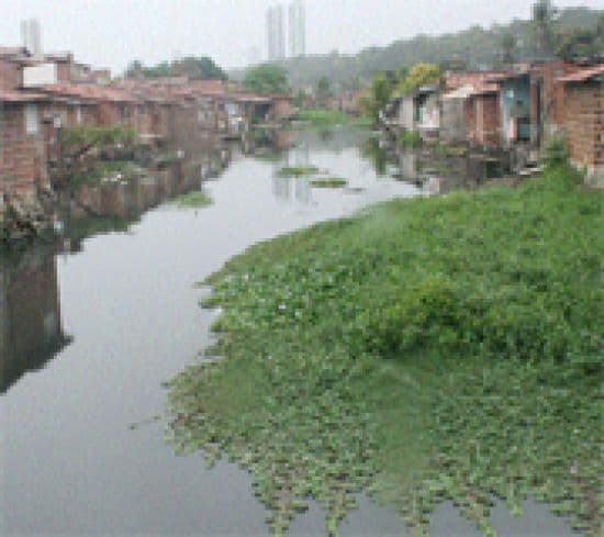 Prefeitura de João Pessoa lança edital de mais de R$ 2.3 milhões para elaboração de estudos e projetos básicos para parque linear do Rio Jaguaribe
