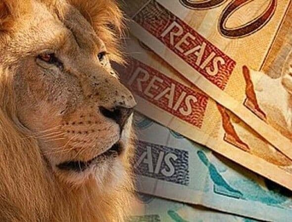 Programa para declarar Imposto de Renda 2025 é liberado nesta quinta-feira; confira calendário do IR e quem deve declarar