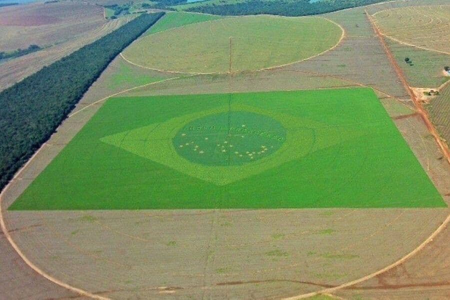 Bandeira brasileira em lavoura pode ser a maior do mundo