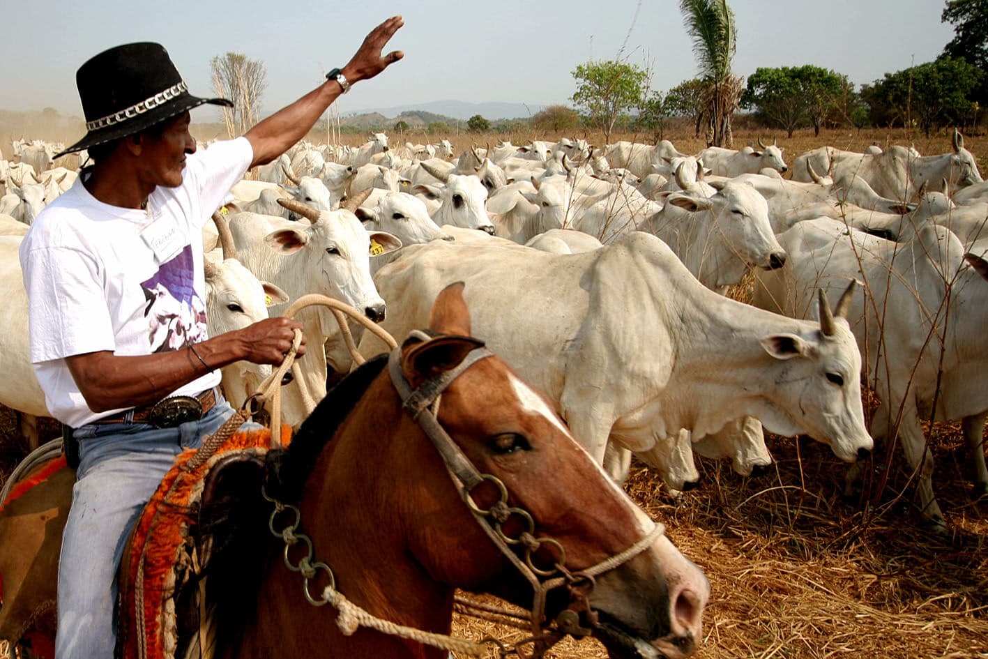 Cícero Lucena celebra aprovação do Projeto que reconhece a profissão de vaqueiro
