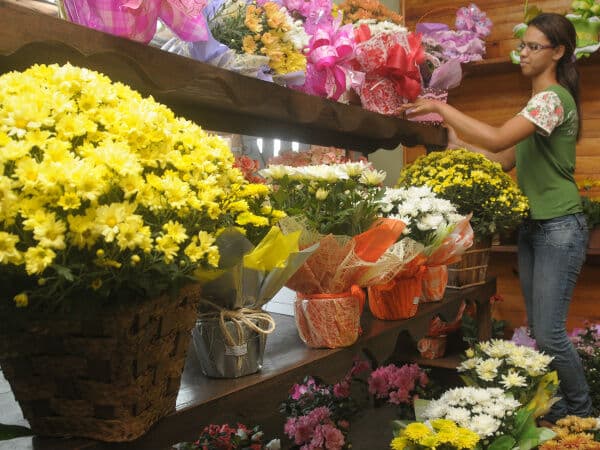 Dia de Finados aumenta busca por flores e preços podem variar até 233% em João Pessoa