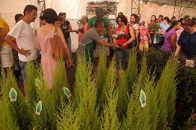 Festival das Flores em João Pessoa traz mais de 200espécies em plantas