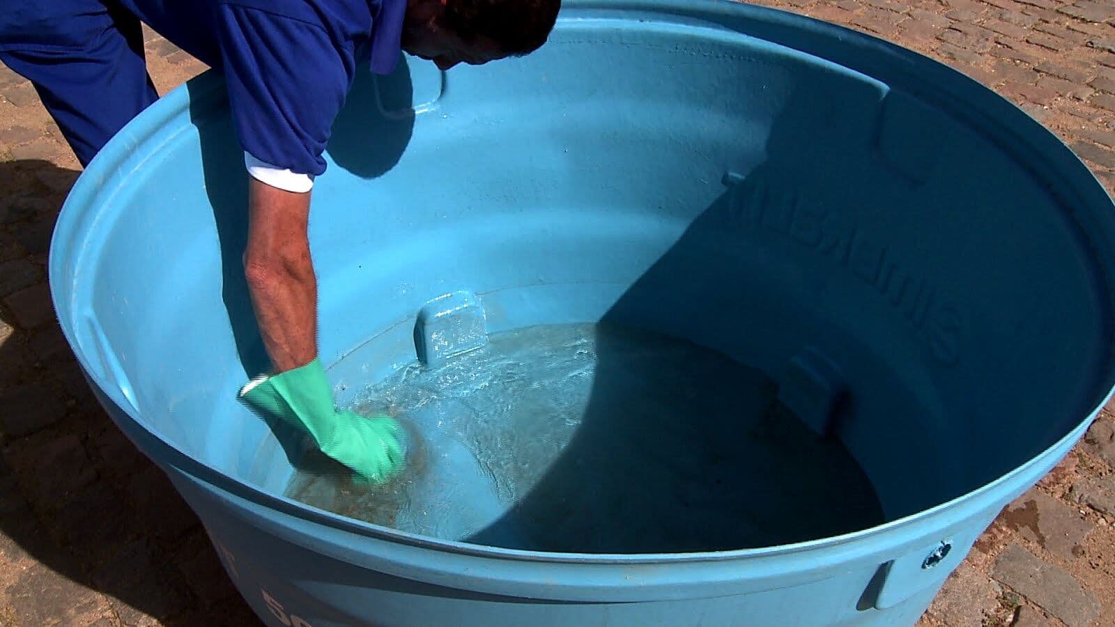 Com 197 municípios em situação de emergência, seca na PB aumenta infestação do Aedes Aegypti
