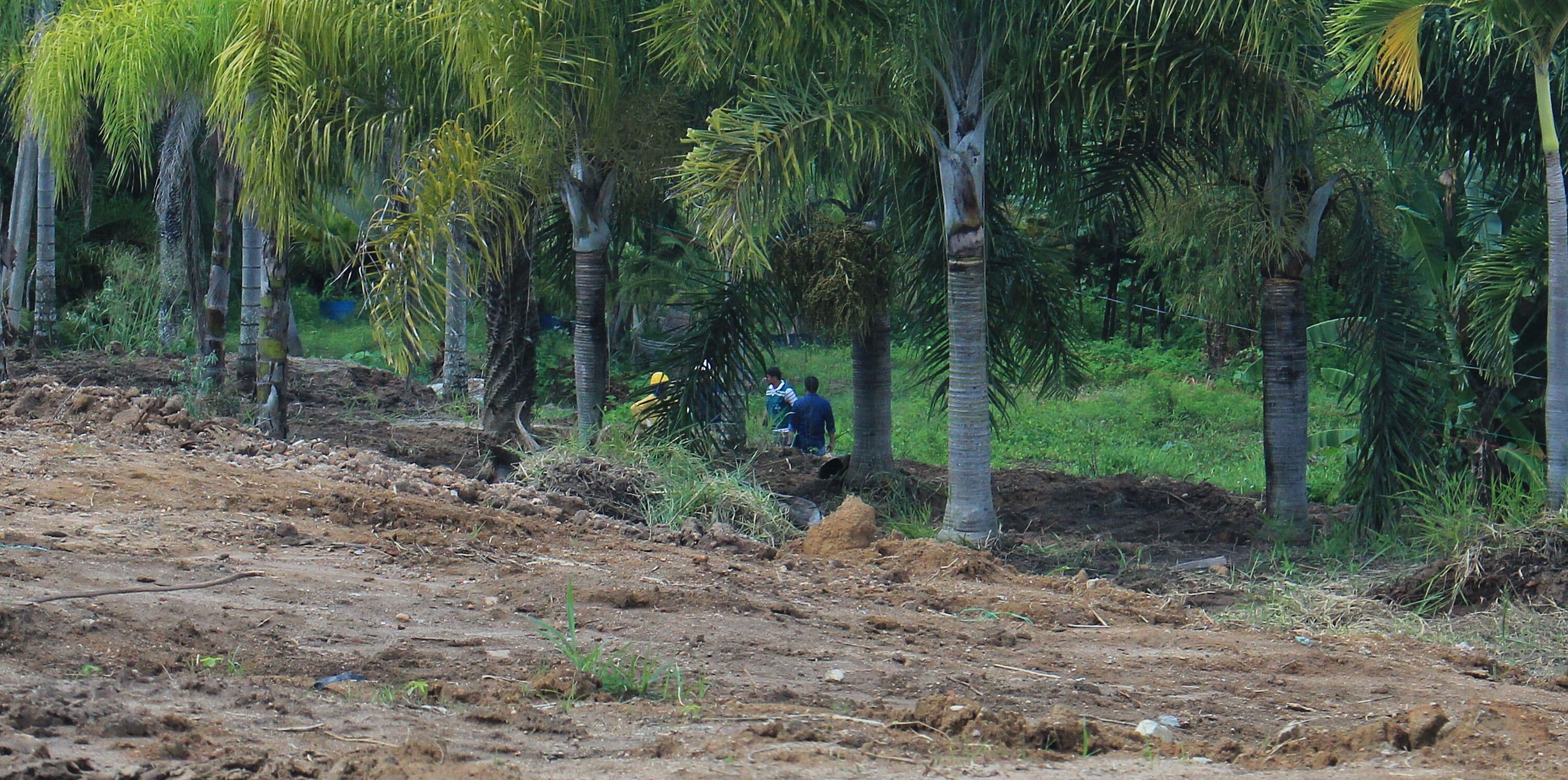 Sudema fiscaliza se obra de condomínio residencial está em área de preservação