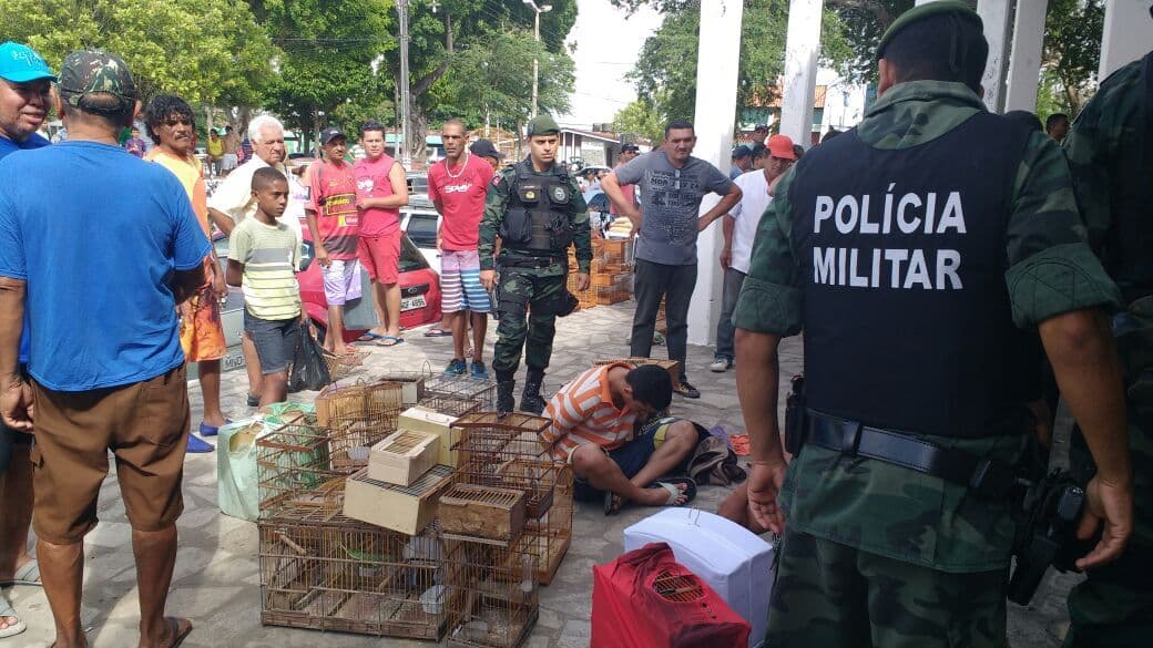 Polícia apreende mais de 80 aves e prende suspeitos de comércio ilegal