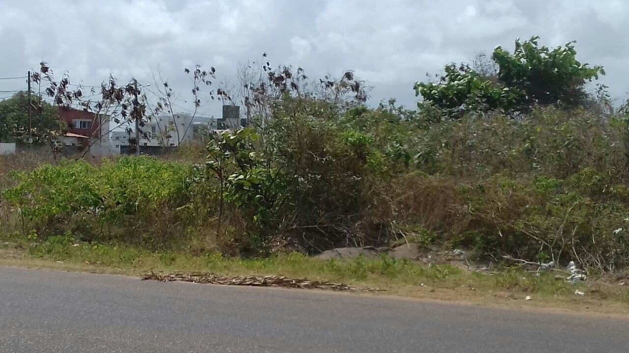 Vereador denuncia troca de área pública em Intermares por 102 paradas de ônibus