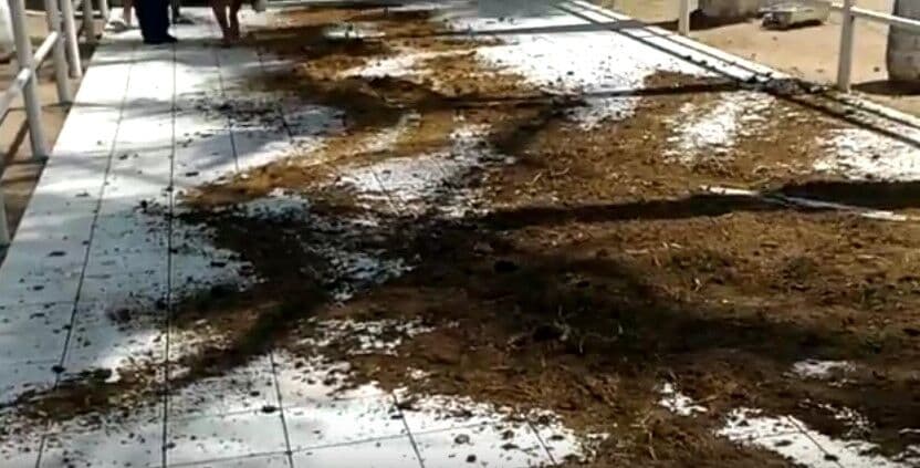 Revoltados, populares jogam esterco no prédio da Câmara de Vereadores de Campina Grande