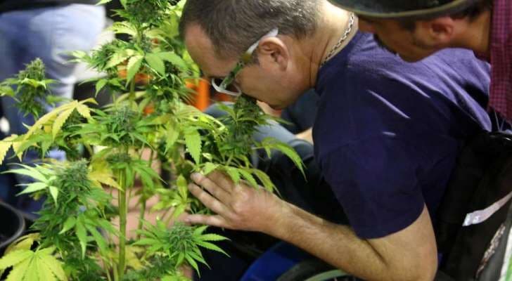 México aprova uso medicinal da maconha