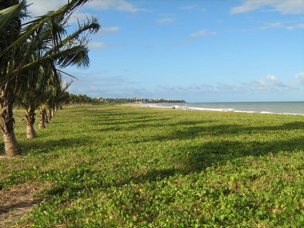 População denuncia despejo de esgoto no Mar dos Macacos, em Intermares