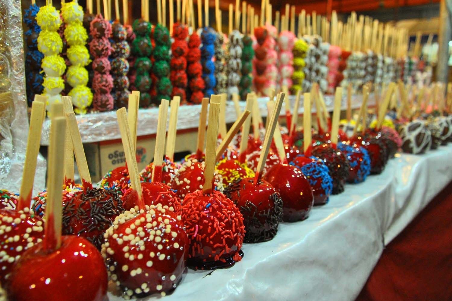 Festa das Neves tem shows de Padre Márcio, Elson Junior e Padre Puan no Parque da Lagoa