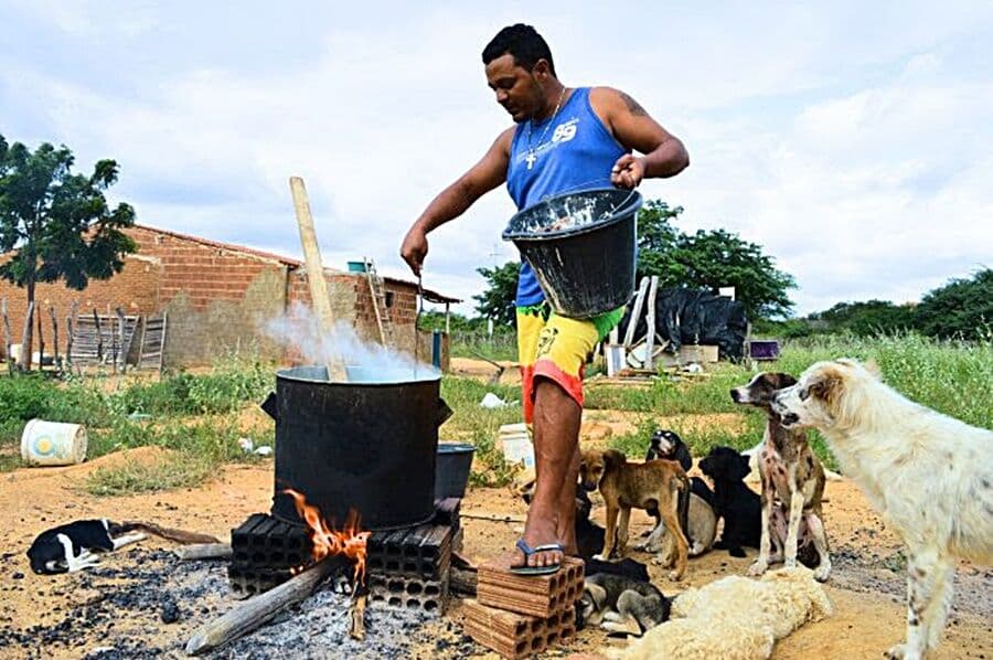 Homem vende a própria casa para cuidar de mais de trinta cães abandonados na cidade de Monteiro