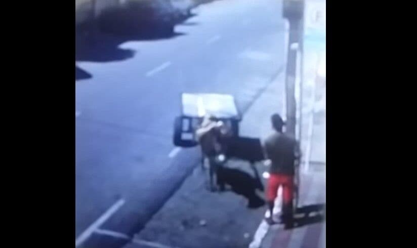 Câmera de segurança flagra furto de carroça e jumento em rua de Patos