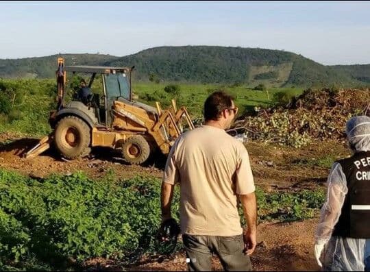 Prefeitura sacrificou cães com requintes de crueldade, revela delegado