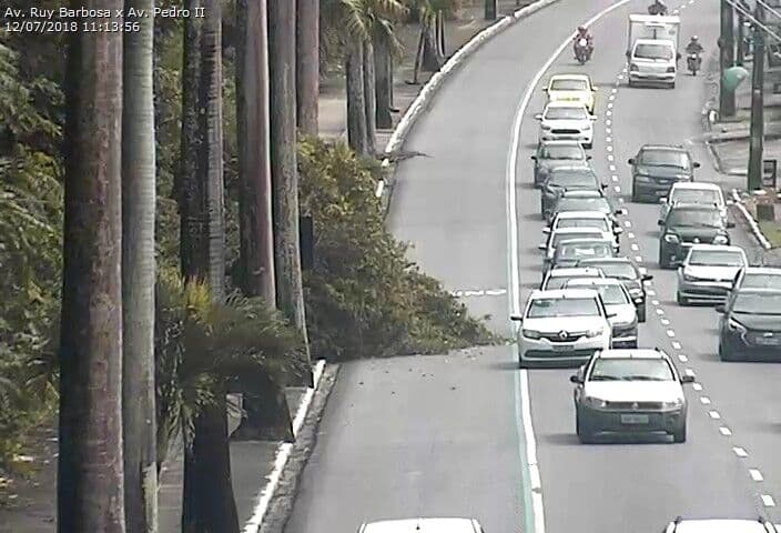 Árvore cai e bloqueia trecho da faixa exclusiva de ônibus na Dom Pedro II