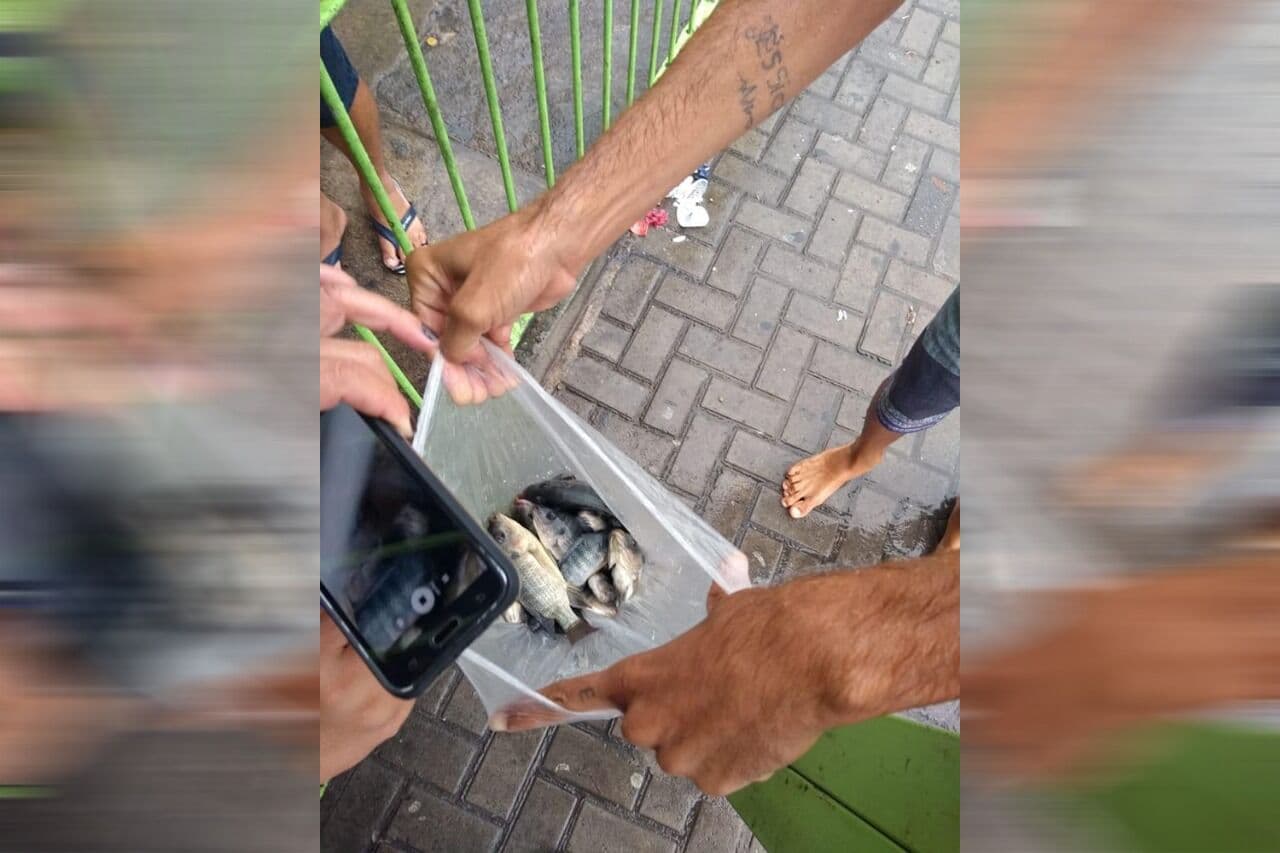 Passageiros ‘pescam’ peixes no Terminal de Integração em João Pessoa