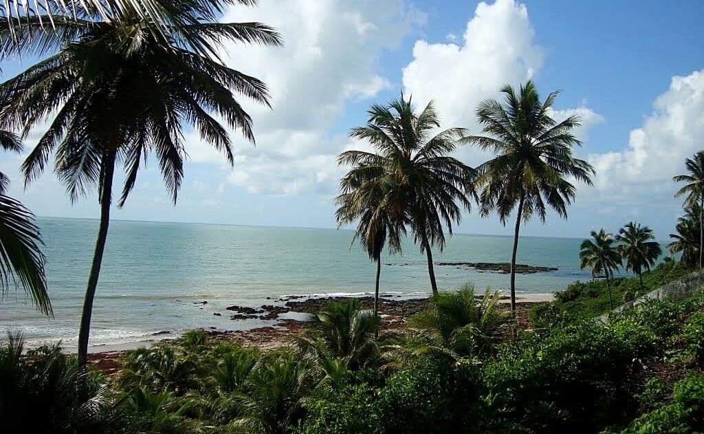 Saúde de Conde identifica que pacientes com malária foram infectados em Carapibus e Jacumã
