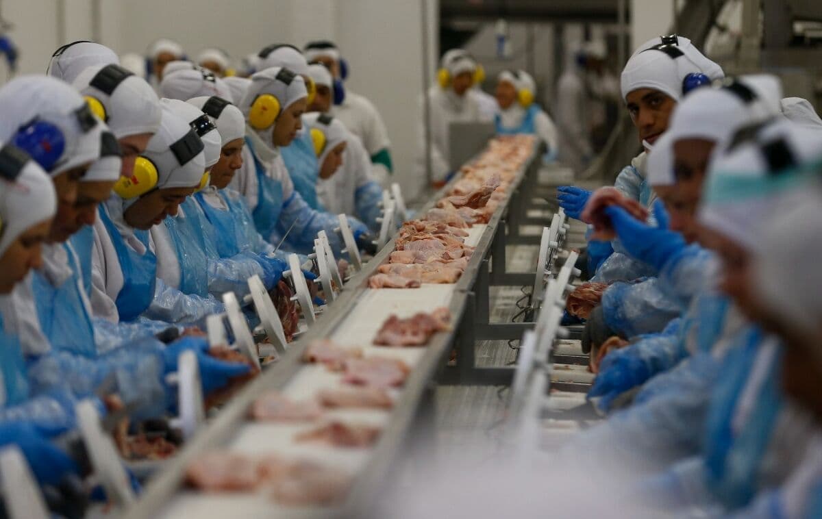 Grupo BRF é investigado por omitir presença de salmonela em carnes