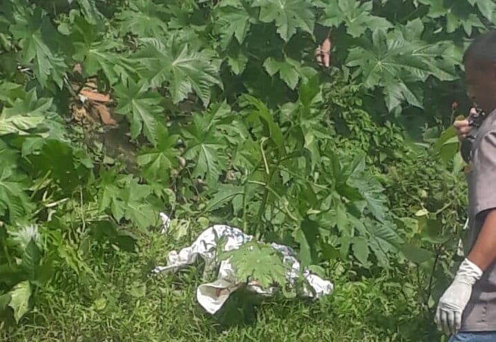 Mulher que estava desaparecida é encontrada morta em Guarabira