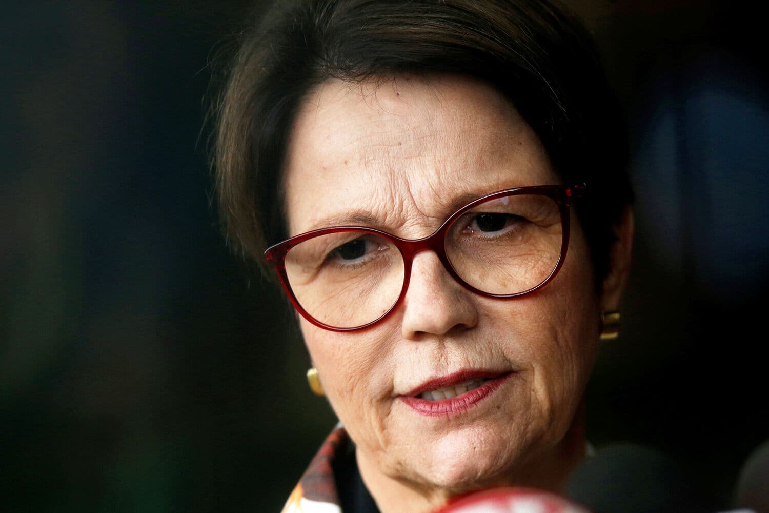 Ministra da Agricultura diz que declaração de Macron foi oportunista