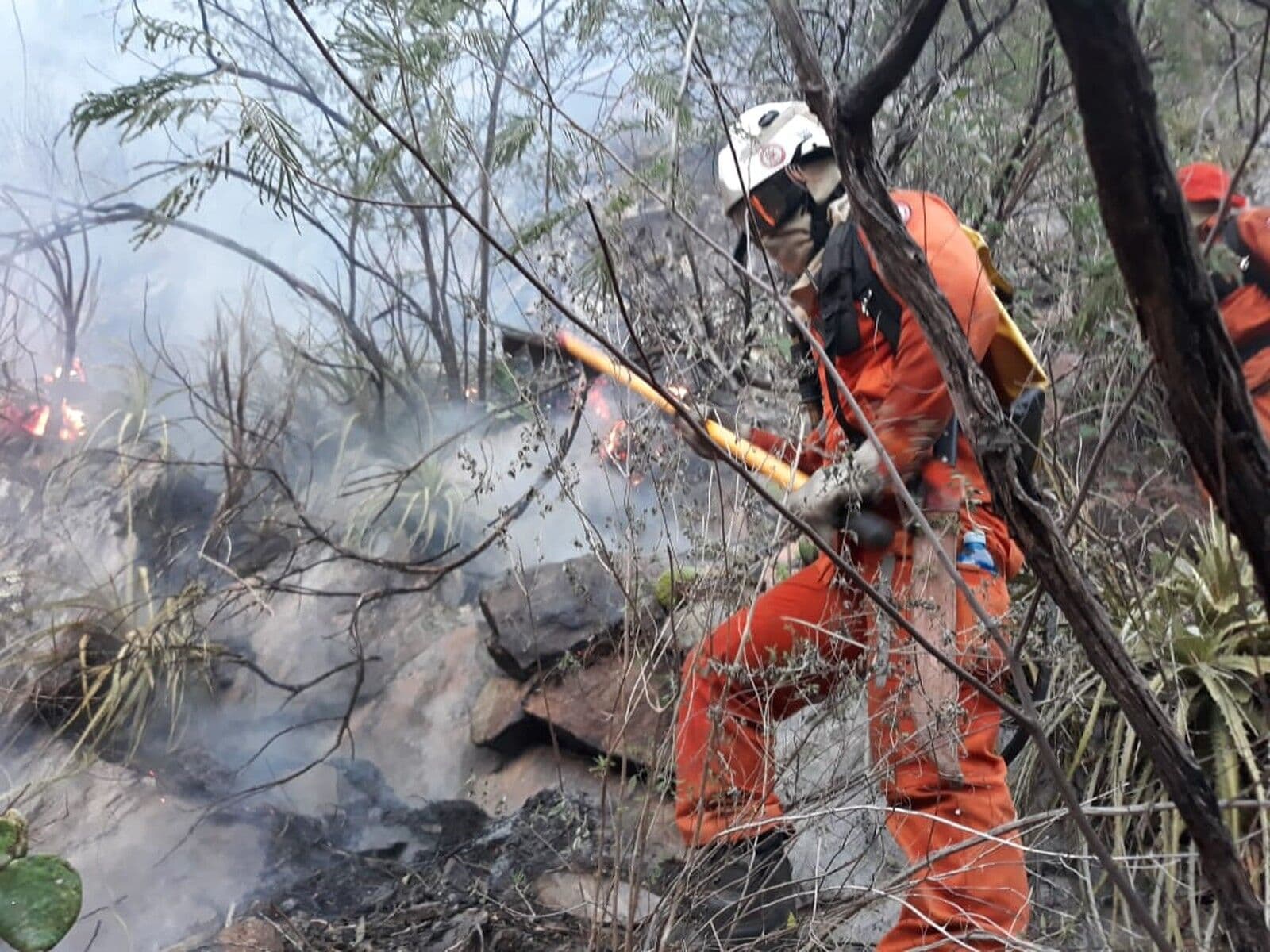 Incêndio de grandes proporções atinge área de vegetação na Chapada Diamantina