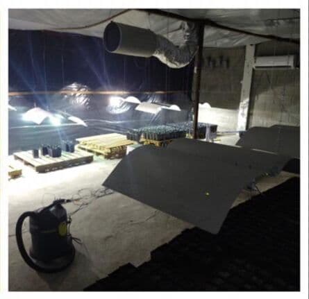 Polícia desarticula laboratórios em João Pessoa que distribuíam drogas para todo o Nordeste