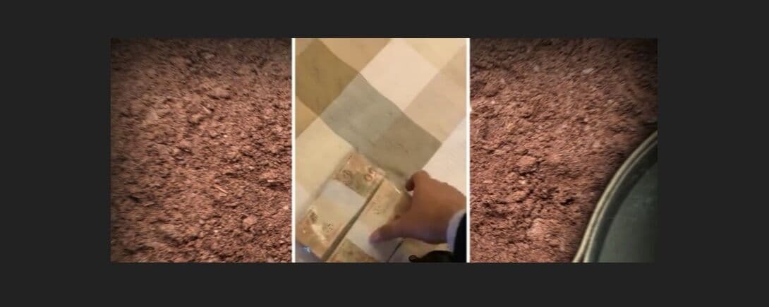 Fantástico detalha esquema de entrega de propinas a Wilson Santiago e prefeito de Uiraúna