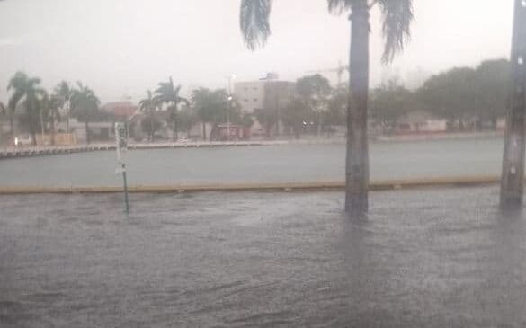 Ruas de Campina Grande ficam alagadas após fortes chuvas; Açude Velho transbordou