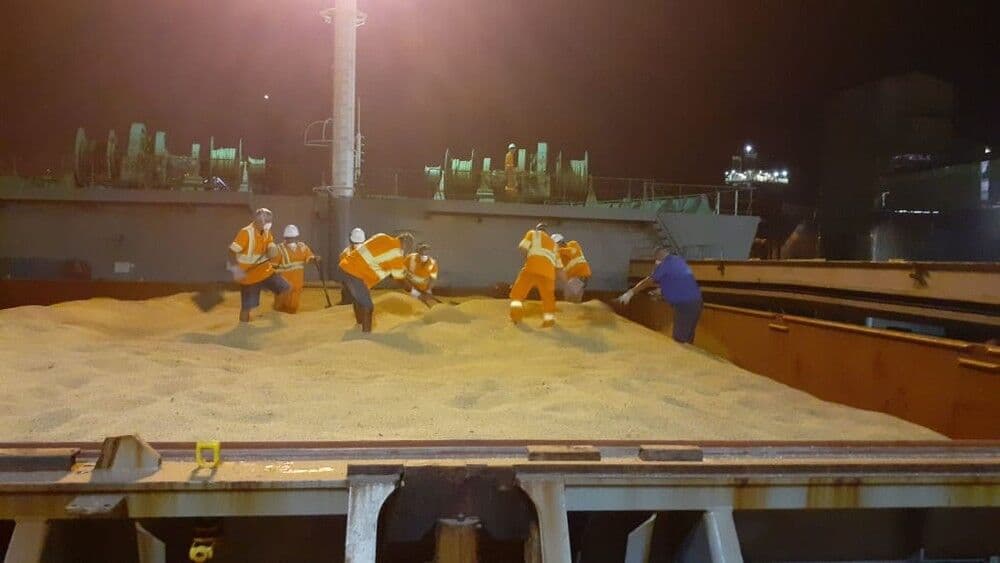 Anvisa vai vistoriar navio atracado em Santos após estivadores dizerem que tripulação tossia e espirrava