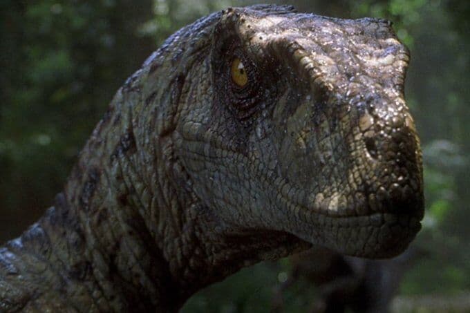 DNA de dinossauro é encontrado em fóssil de 75 milhões de anos