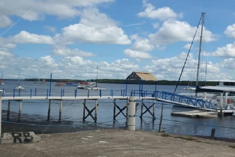 Polícia Militar e Bombeiros encontram corpo em mangue que pode ser de adolescente desaparecida