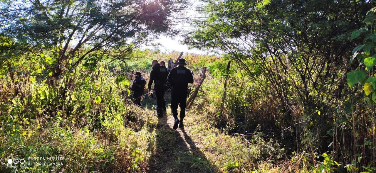 Suspeitos trocam tiros com a polícia em perseguição que durou quase 24 horas; os quatro foram capturados