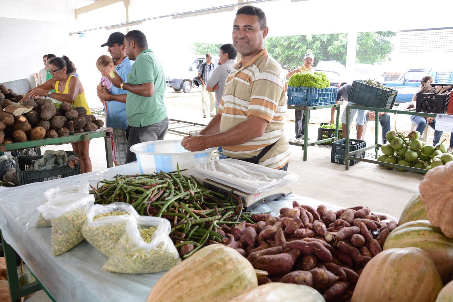 Feirantes de João Pessoa serão testados para covid-19 antes da reabertura dos mercados