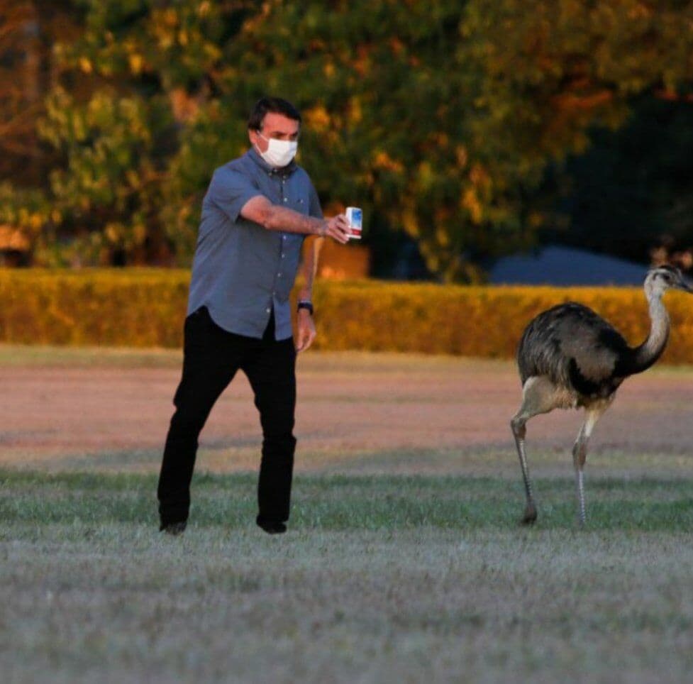Bolsonaro mostra caixa de hidroxicloroquina para as emas do Alvorada
