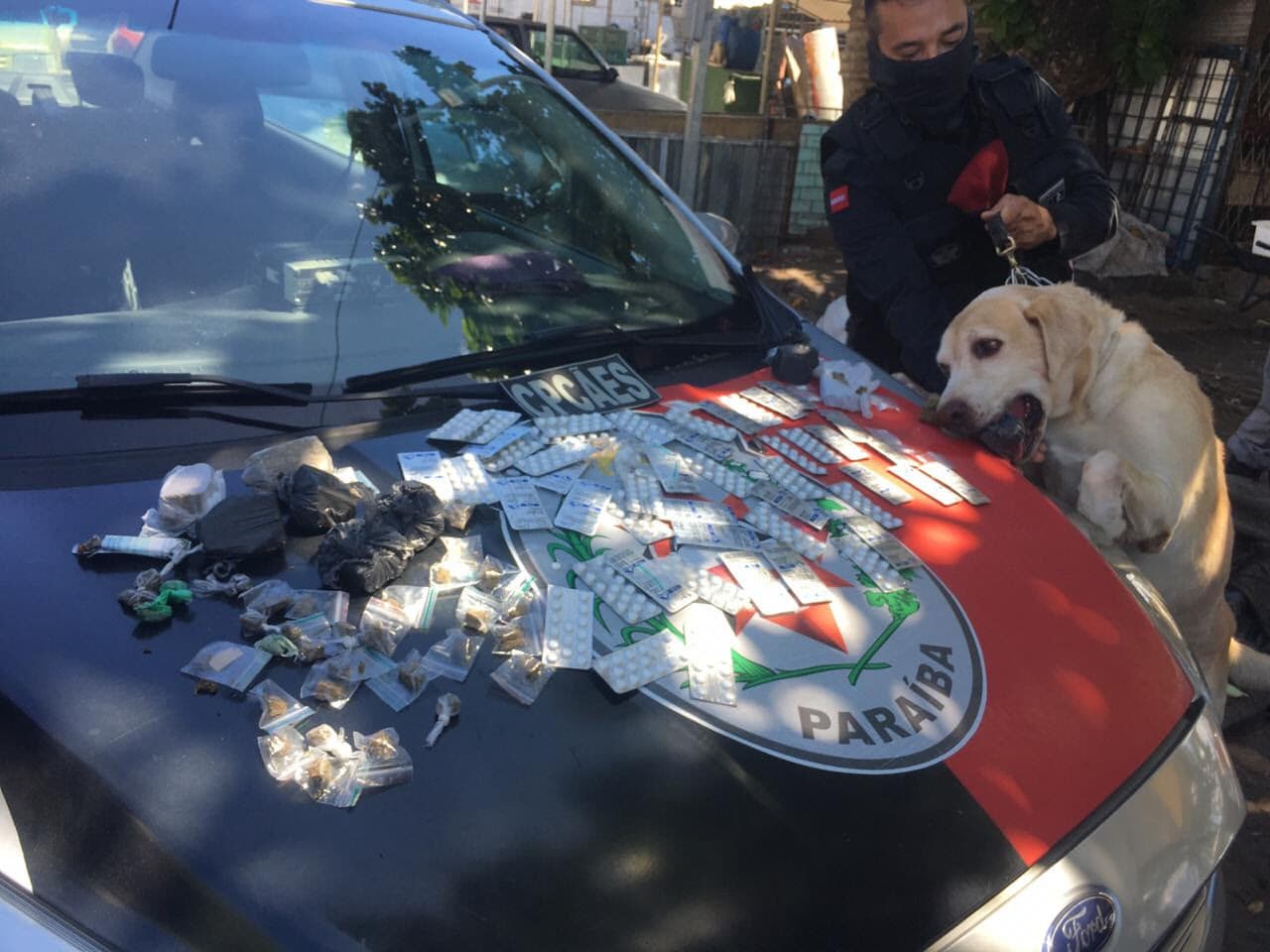 Com ajuda de cão farejador, polícia apreende quase 700 comprimidos e outras drogas em João Pessoa