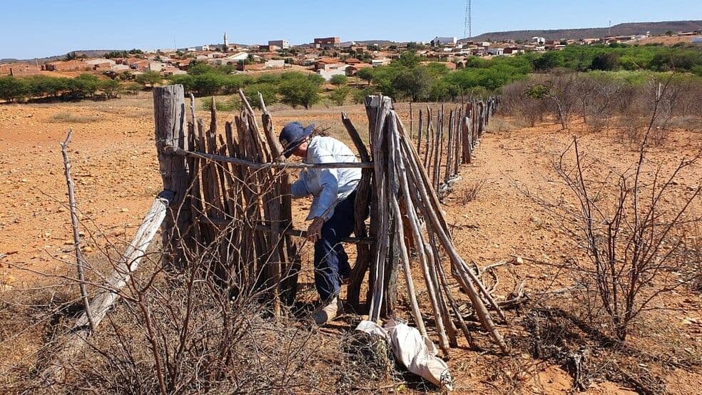 'Não sabemos o que fazer', diz prefeito da cidade de Pernambuco que atraiu 'caçadores' de meteoritos após chuva de pedras
