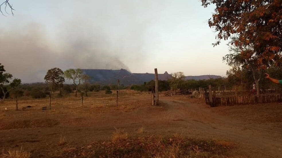 Polícia Federal busca responsáveis por queimadas que destroem o Pantanal