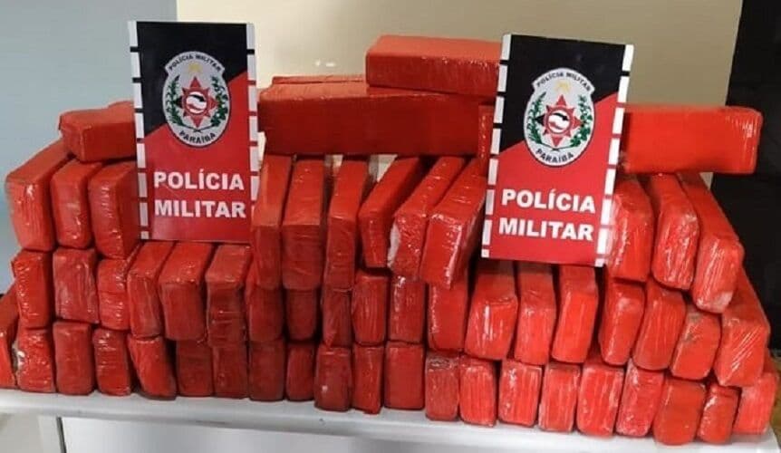Polícia Militar apreende mais de 50 kg de maconha em operação no Sertão da Paraíba