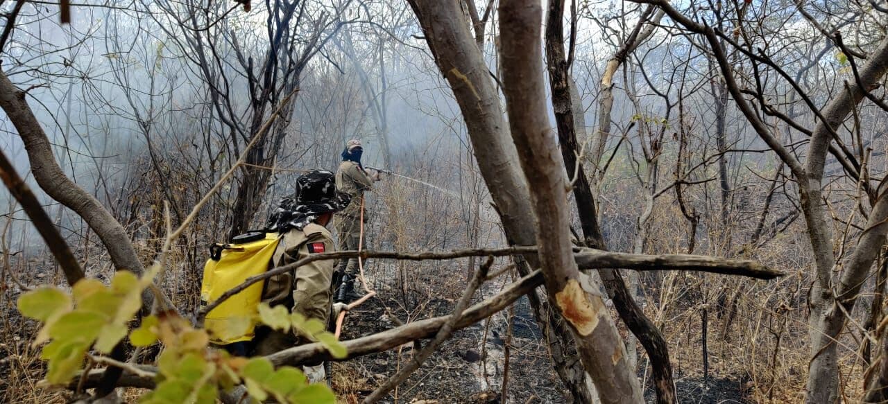 Municípios do Sertão paraibano enfrentam incêndios há nove dias; Corpo de Bombeiros faz sobrevoo e mostra áreas afetadas