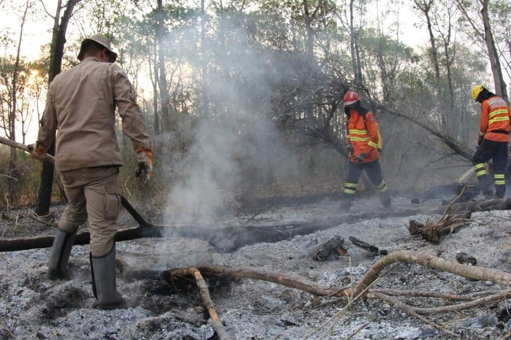 Fogo que destruiu 25 mil hectares no Pantanal começou em grandes fazendas, aponta investigação da Polícia Federal