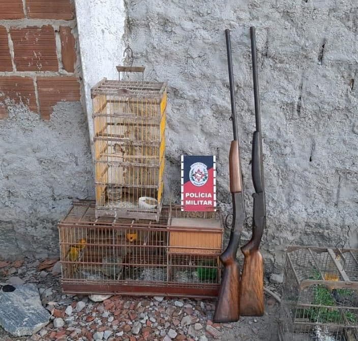 Polícia apreende quatro aves silvestres e duas armas de fogo usadas para caça ilegal em Campina Grande