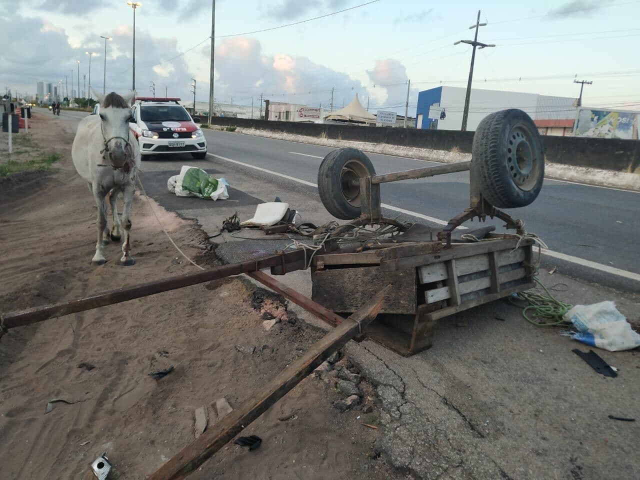 Polícia Militar presta esclarecimentos após acidente envolvendo viatura do Ceatur e idoso em carroça na BR-230, em João Pessoa