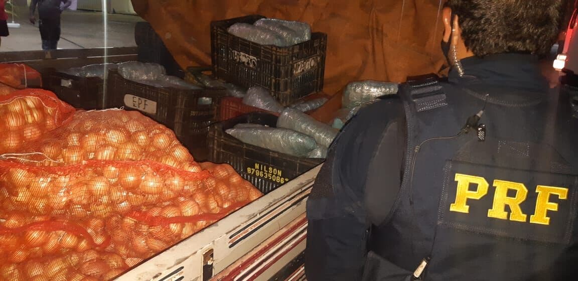 PRF na Paraíba apreende 50kg de maconha escondida em fundo falso de caminhão carregado de cebola