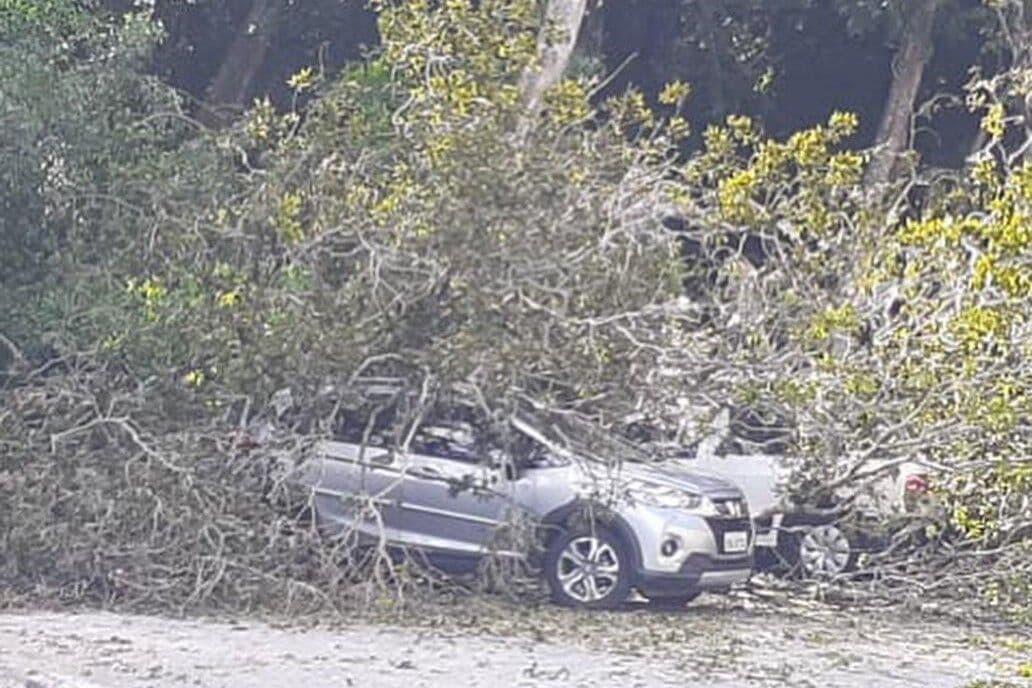 Árvores tombam por cima de carros no estacionamento do HU de João Pessoa