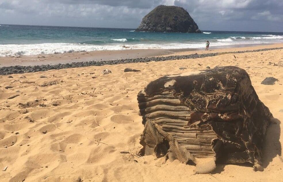 Caixa misteriosa volta a ser encontrada em praia do Nordeste após mais de um ano