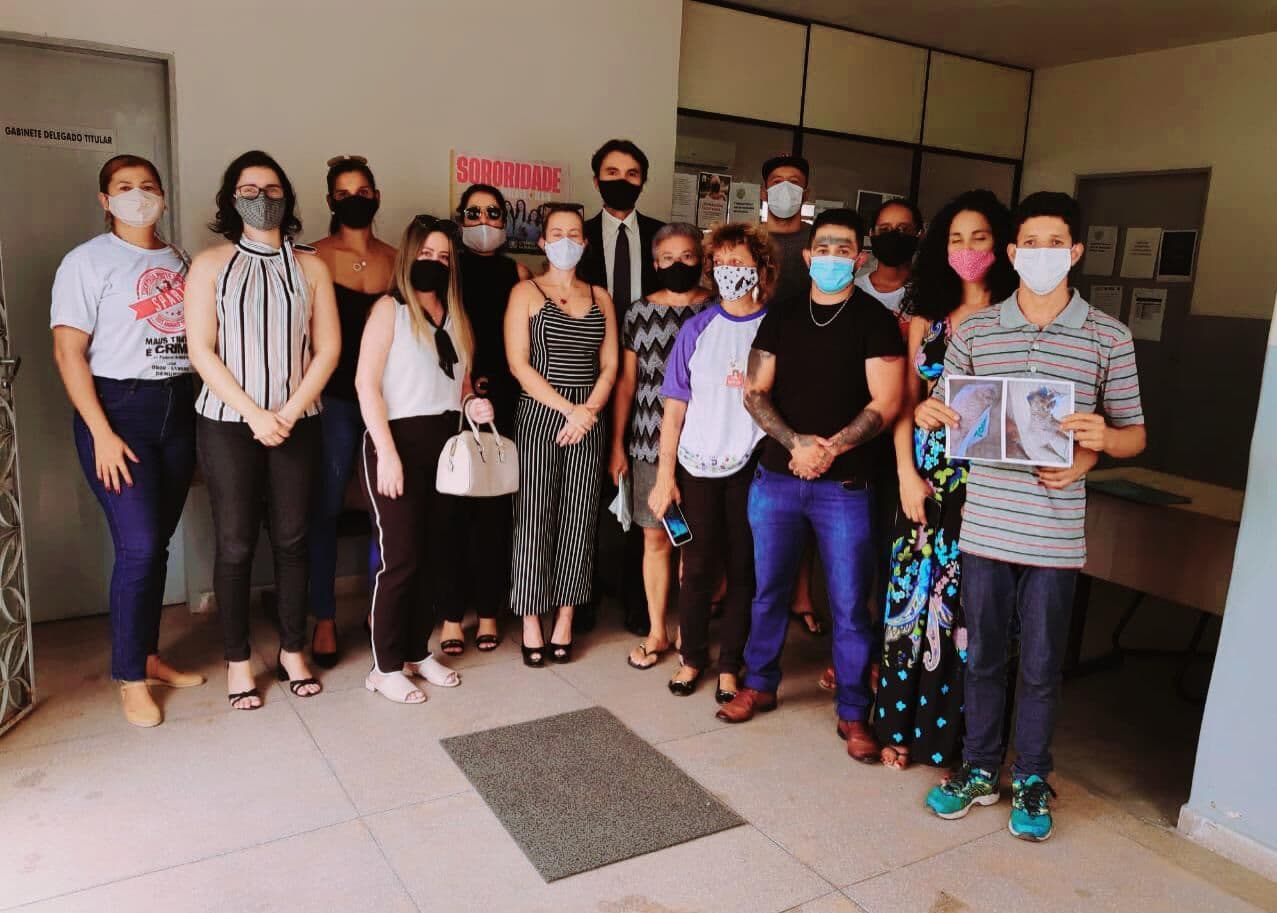 Paraíba vacina 342.235 cães e gatos contra raiva animal; campanha segue até dia 23