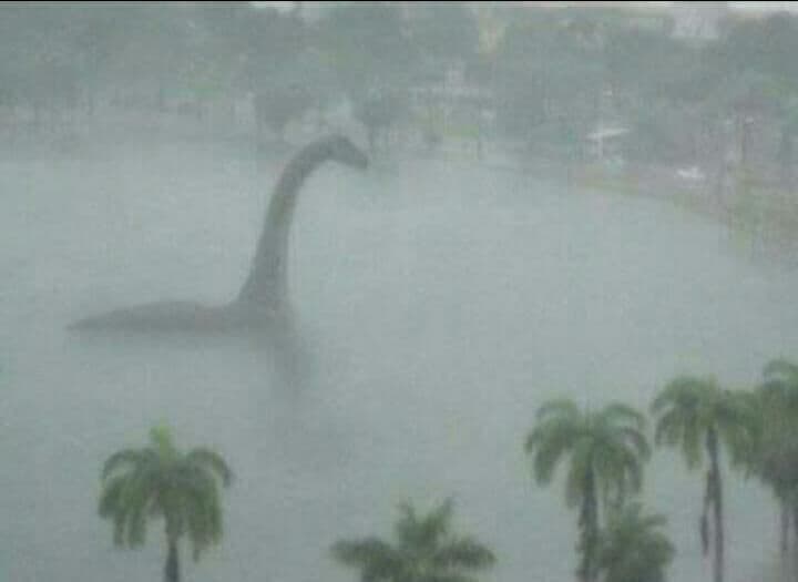 João Pessoa fica entre assuntos mais comentados do Twitter e memes sobre fortes chuvas na capital da Paraíba invadem redes sociais