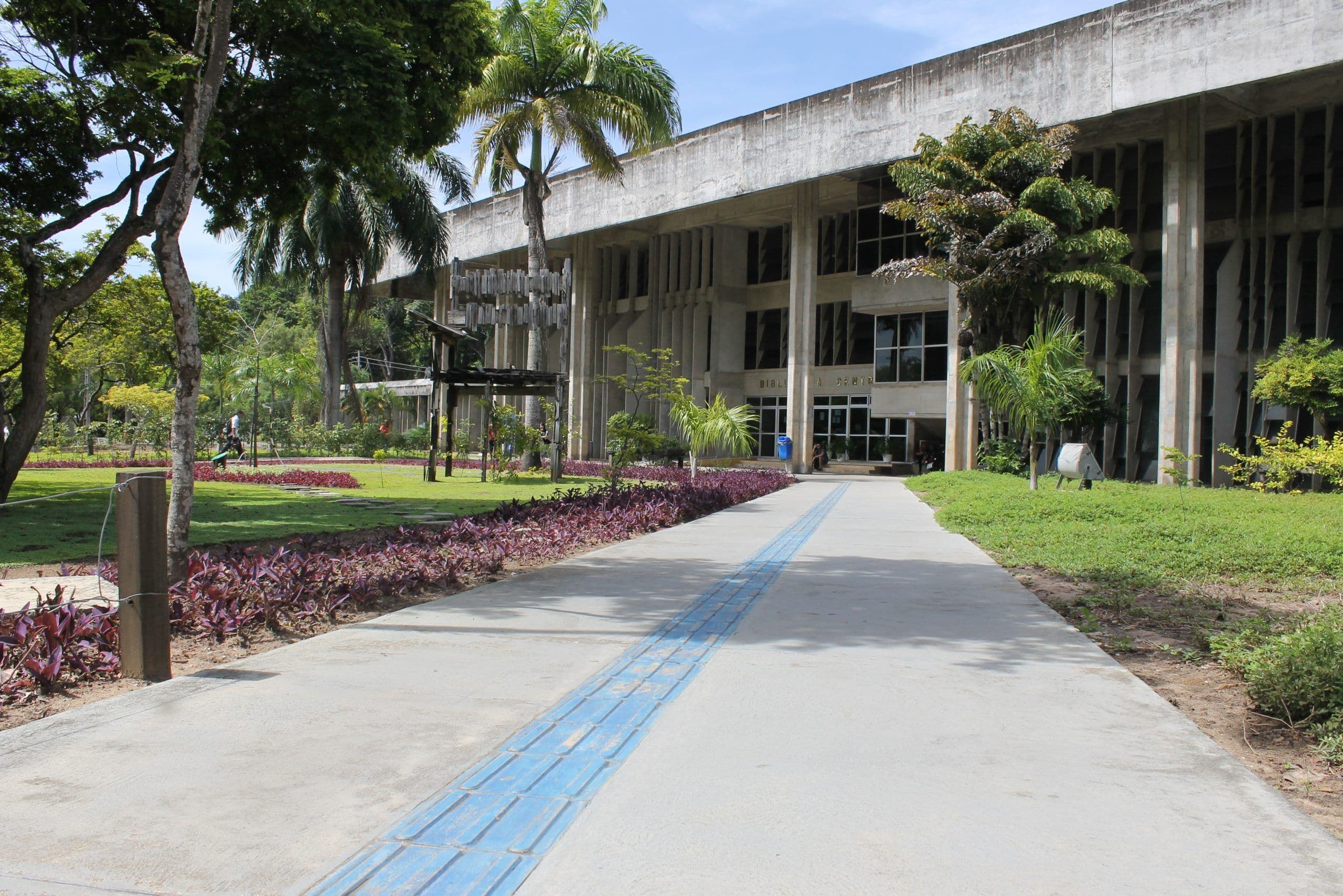 Sete pesquisadores da UFPB estão entre os mais influentes do mundo