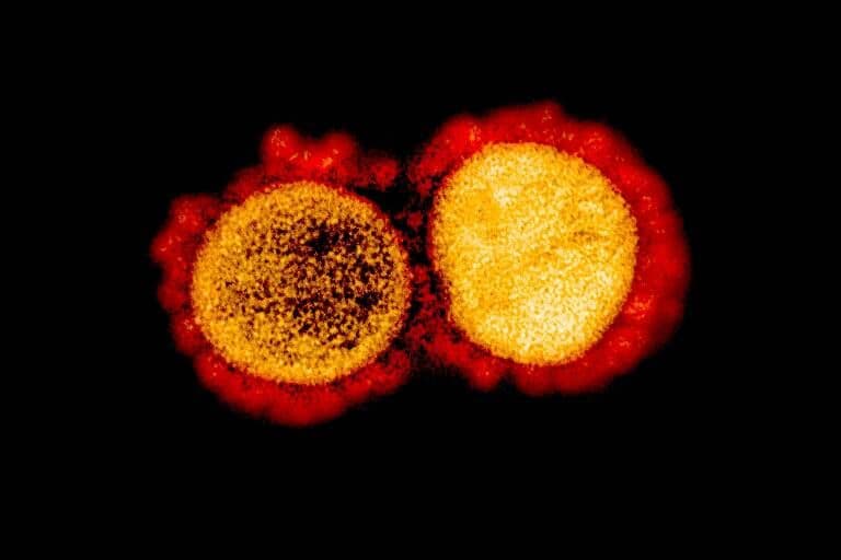 Droga biológica Regen-Cov reduz contaminações por Covid, mostra estudo