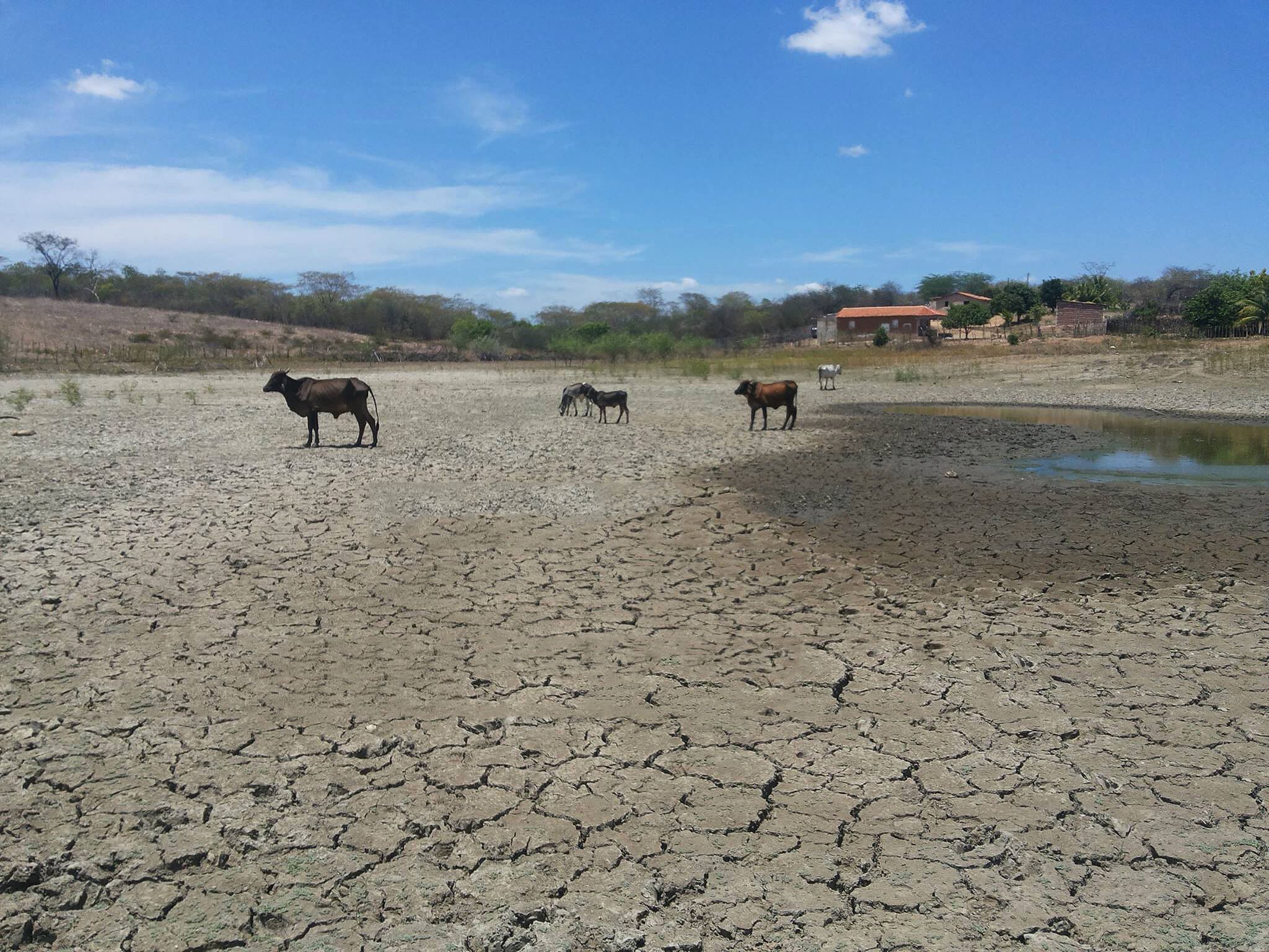 Paraíba tem 27,7% de área desertificada e é o segundo estado mais impactado pelo fenômeno no país, aponta relatório do IPCC