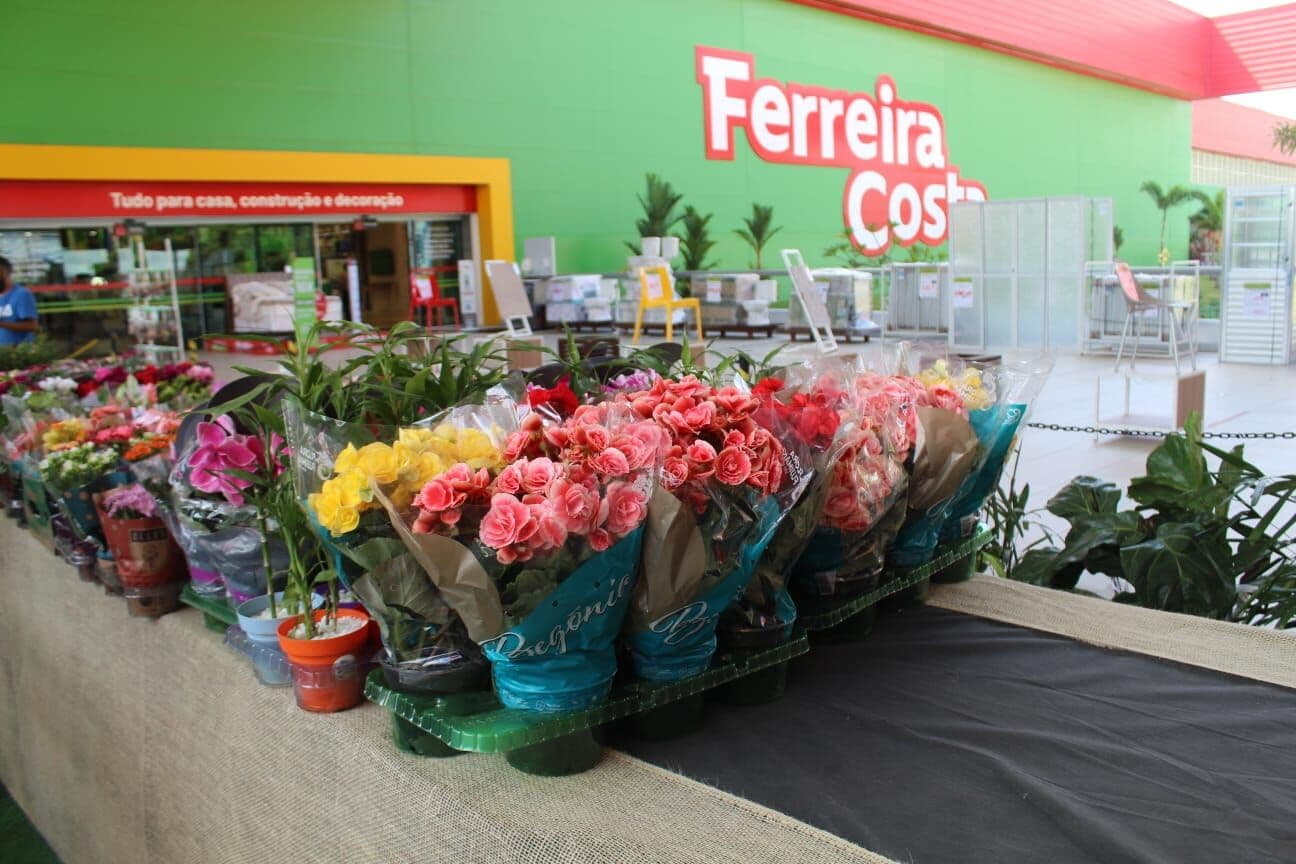 Feira de Flores de Holambra acontece a partir deste sábado em João Pessoa com mais de 200 espécies de plantas